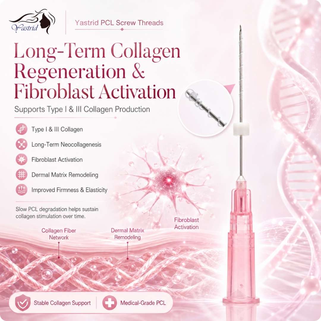 Promotes the Production of Type I and Type III Collagen